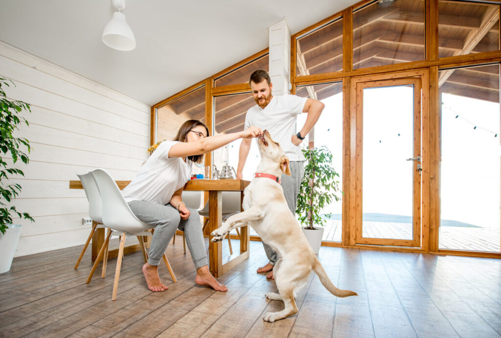 Living in Desert Ridge, Phoenix: A Vibrant Community for Families and Professionals
